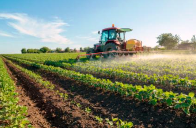 Sicilia. Agricoltura, deroga alla rotazione delle colture per fronteggiare il caldo anomalo